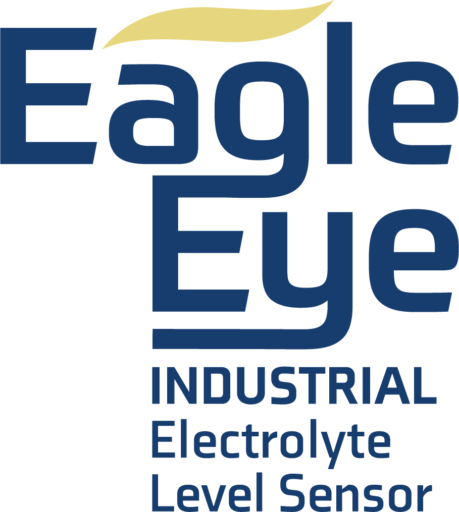 EE-IND-plus-words Eagle Eye Industrial Logo
