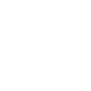 made-in-michigan